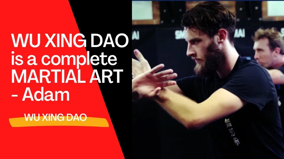 Video testimonial from Adam Watts, Wu Xing Dao adult student