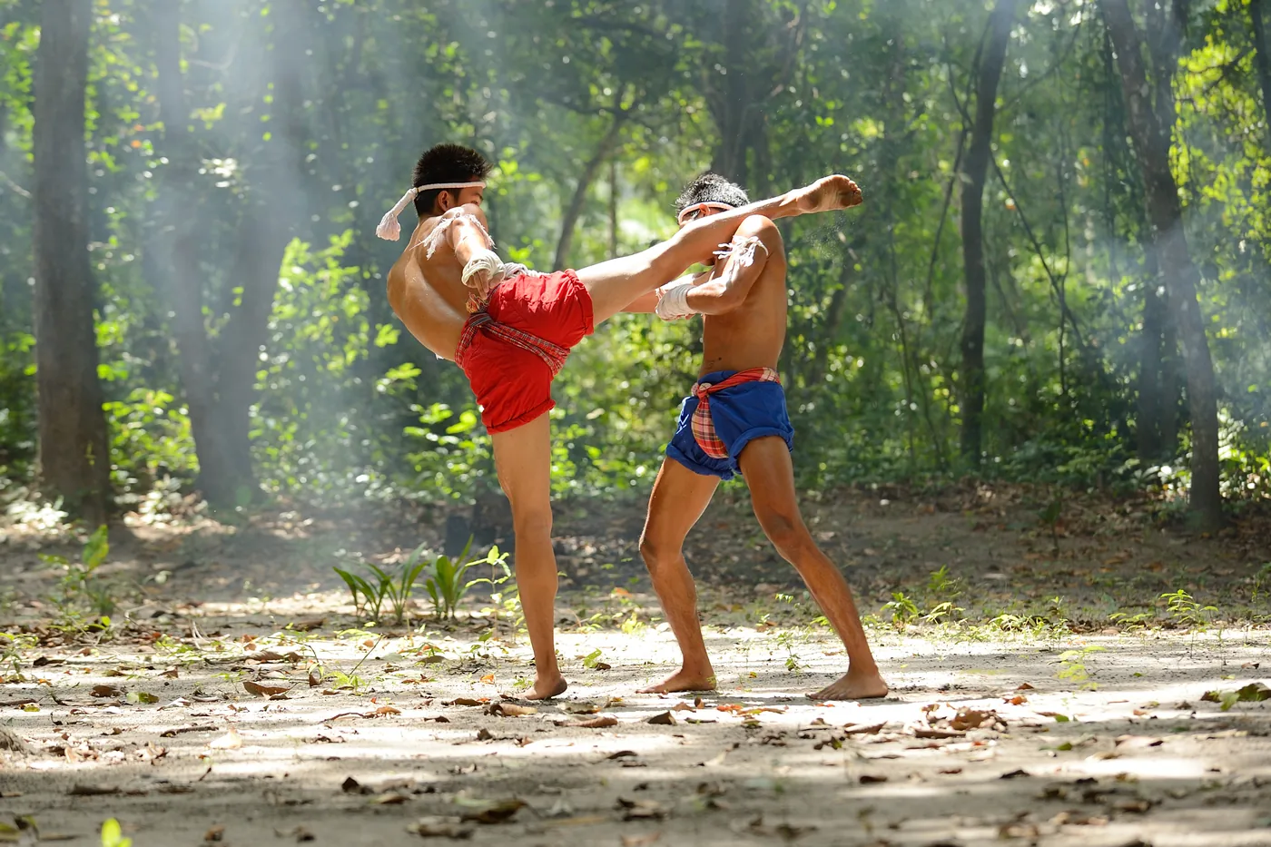 Two shirtless men practice martial arts in a sunlit forest, one delivering a high kick; red and blue shorts.