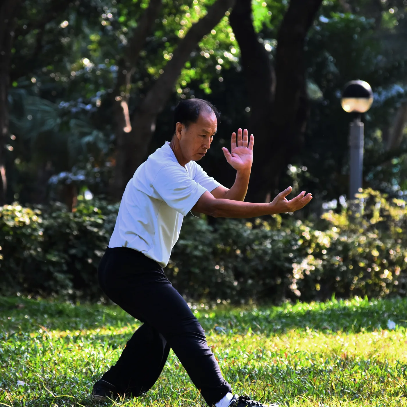 Man in a white shirt and black pants practices tai chi in a sunlit park with green trees, looking focused.