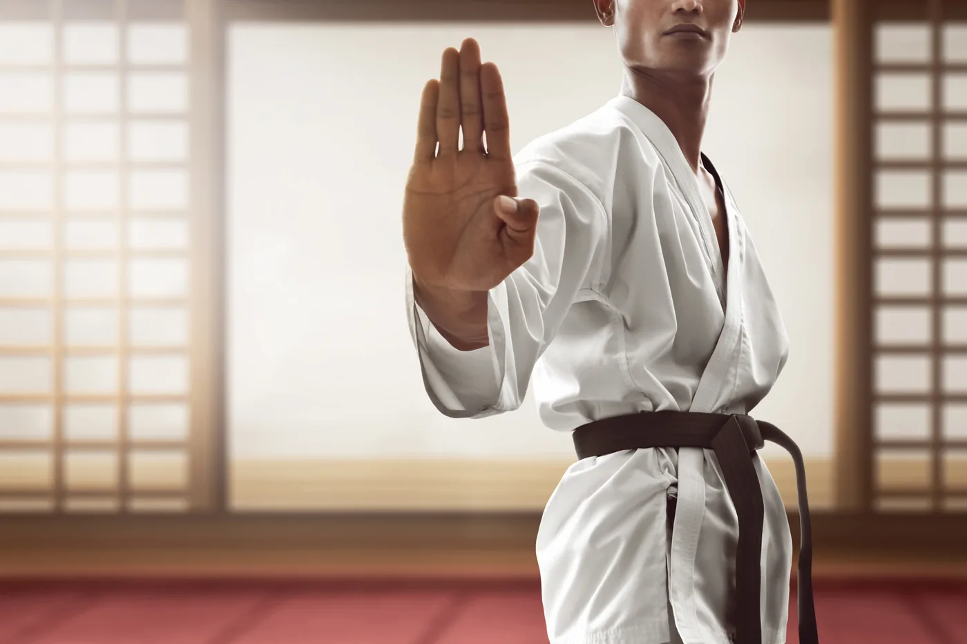 Martial artist in white gi and brown belt holds a stop hand pose in a bright dojo with shoji screens, calm and focused