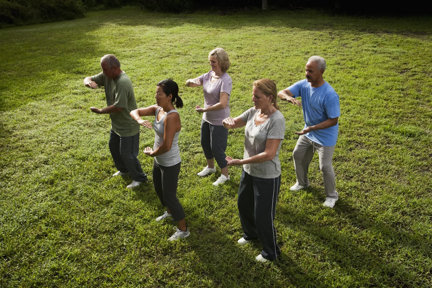 Five adults practice tai chi on a grassy field, arms raised in unison under bright sunlight.